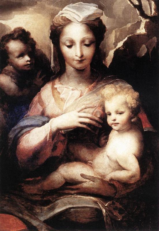 BECCAFUMI, Domenico Madonna with the Infant Christ and St John the Baptist  gfgf Sweden oil painting art